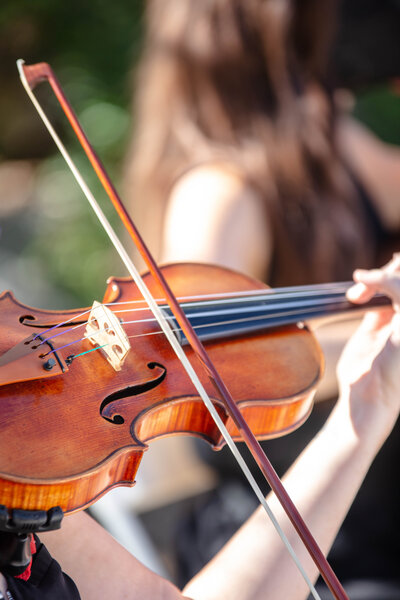 violin in sunlight being played at Geronimo Oaks wedding ceremony in Seguin Texas by Firefly Photography