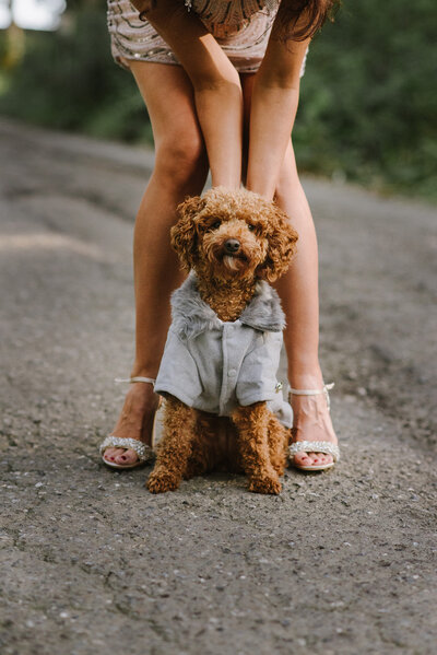 dog wearing a sweater standing at the feet of a person with high heels on