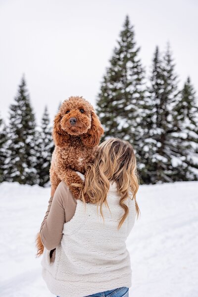 Cute pup being held in girl's arms with snowy trees behind them