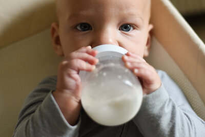Black and white artistic photograph of a horse's head between another horse's legs