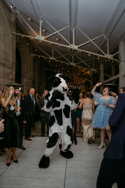 Chick-fil-a Cow shows up to crash a Nashville TN wedding 