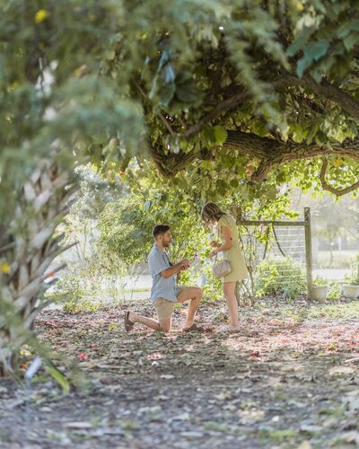 Man proposing to girlfriend under a canopy of trees