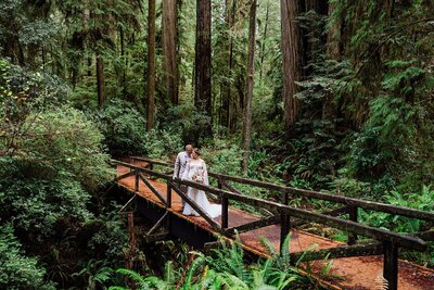 The bride and groom stand on a moss covered wooden bridge in a Redwood forest.