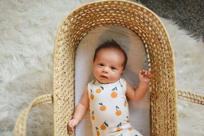 Young newborn laying in moses basket
