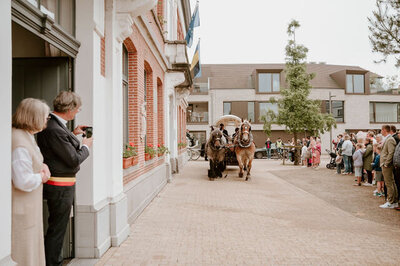 gemeentehuis en koets met paarden