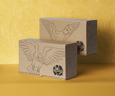 Nutrinosh_Packaging_Box_Mockup_