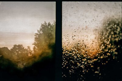 GRADIENT_BOHNENKAMP_A-3