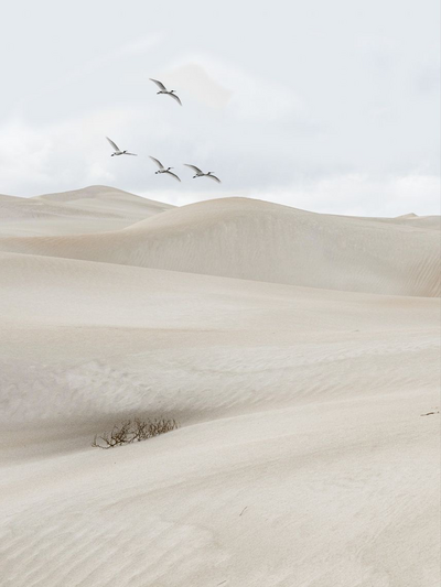 I_AM_ANA_GICEL_-_-_Business_Creative_Director_-_-_SEO_Digital_Marketing_Strategy_Educator_Beige_Aesthetic_Desert_Bird_Blue_Sky_002