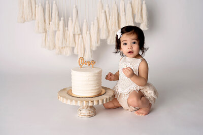 charlottesville va cake smash photography