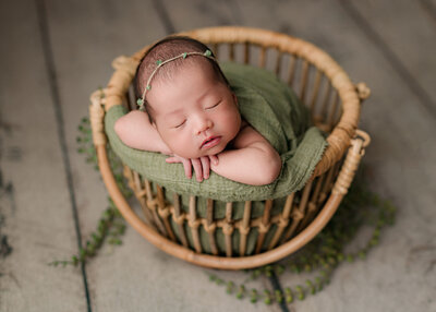 baby in basket with greenery surrounding
