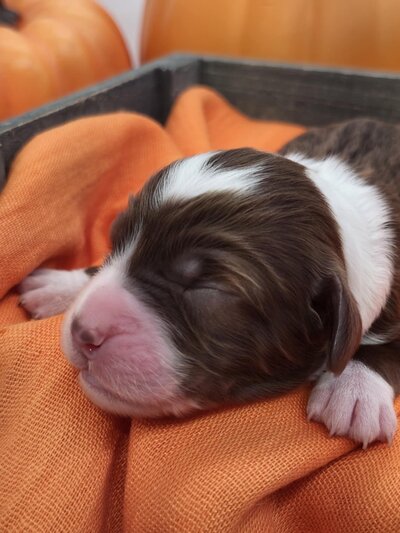 64fbbc47-e3b0-40ea-831a-0e53b78ac3dd