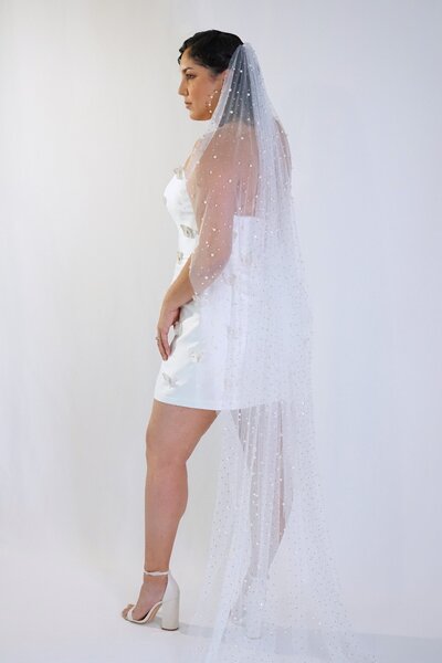 Pearl and Crystal Cathedral Veil