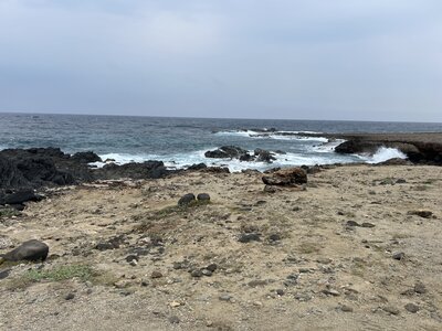 IMG_6255