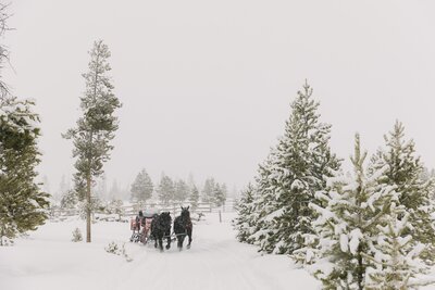 Unique Colorado elopement idea doing a sleigh ride in Winter Park, Colorado 