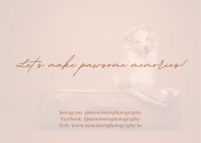Cadeaubon MSwitsersphotography 