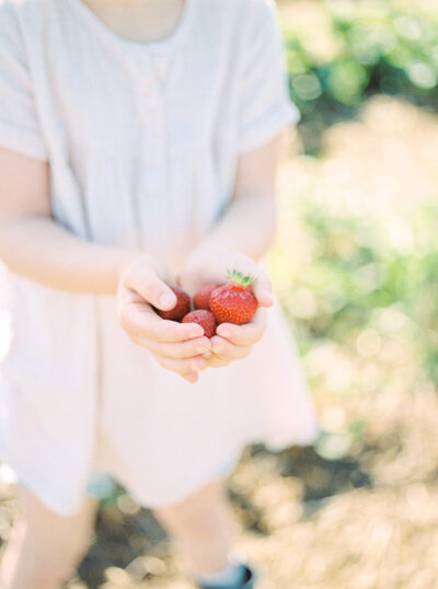 summer mini session minnesota