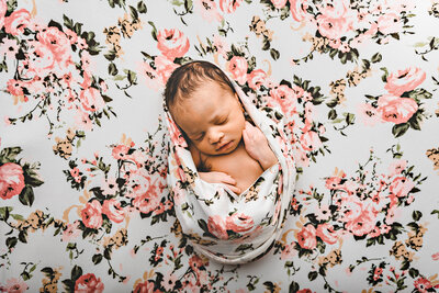 clayton newborn photographer