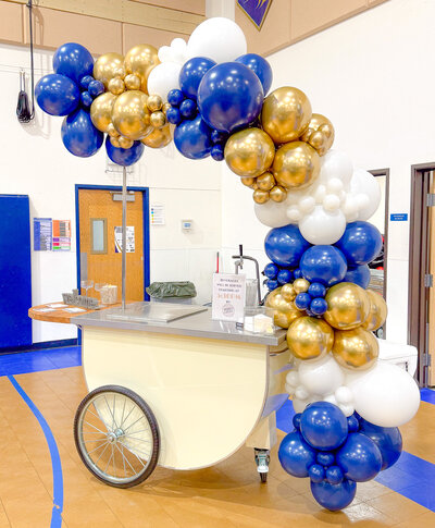 balloons-bismarck-nd-119