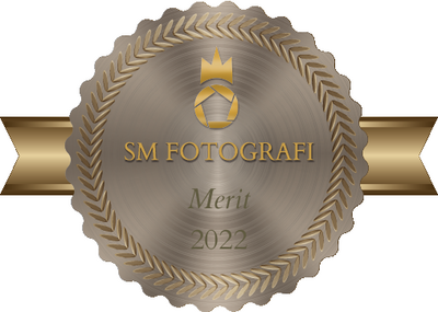 merit-badge-5665