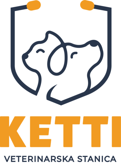 Ketti logo
