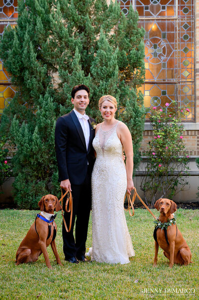Bride and groom posing with two dogs in floral collars outside a historic building, showing off a personalized, pet-friendly wedding day.