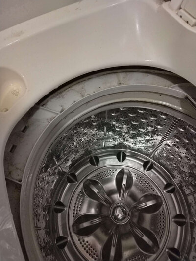 Before dirty washing machine Rocket City Clean Up Crew LLC
