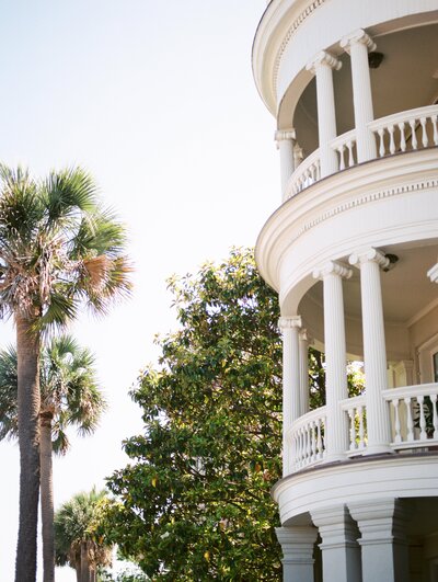 Groom embraces his bride on a lawn in front of palm trees at their Charleston wedding