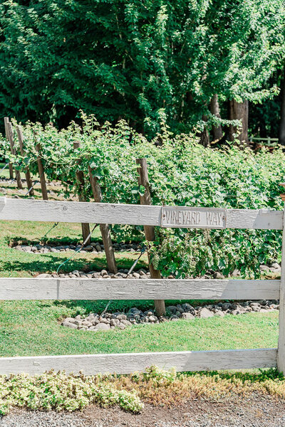 Chateau lill garden