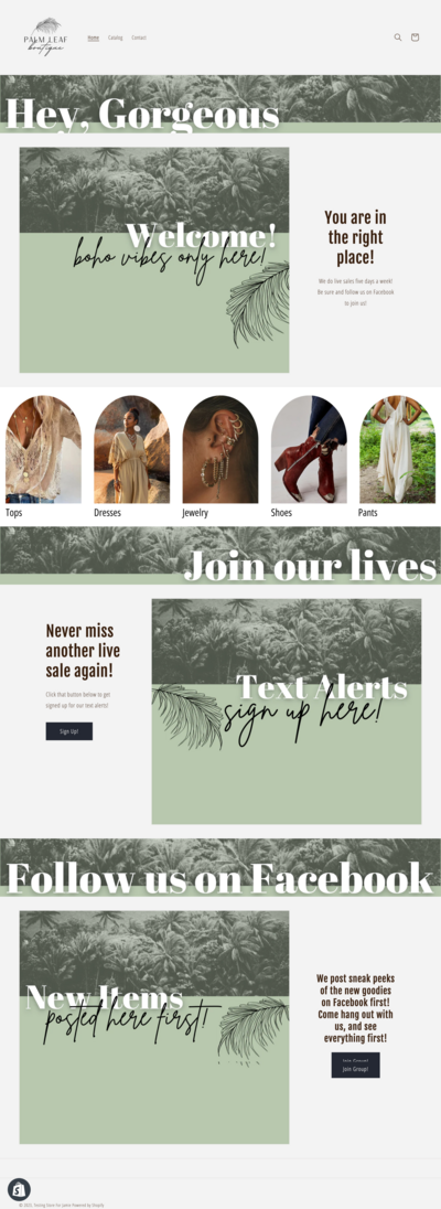 screenshot of shopify store