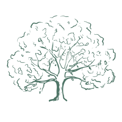 oak tree illustration for The Rooted Membership