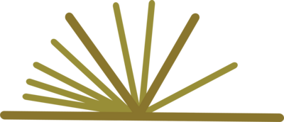 emblem full color yellow