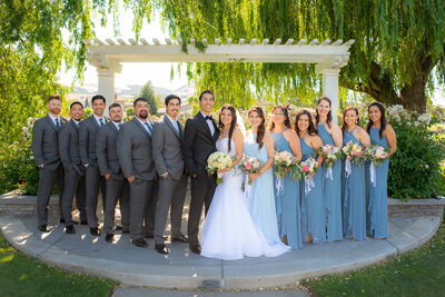 Bride and groom stand with bridesmaids on one side and groomsmen on the other under a willow tree all smiling looking at the camera.