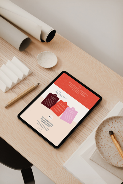Instagram Template ontwerp voor Mehr Advies op Telefoon