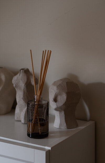 diffuser for interior photoshoot by agata dimmich