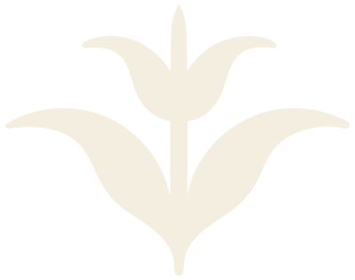 SOVAL Aesthetics icon featuring a symmetrical flower that has a bevel-shaped tip