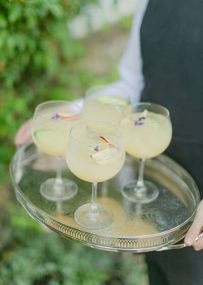 chloe-winstanley-weddings-hambleden-garden-cocktails