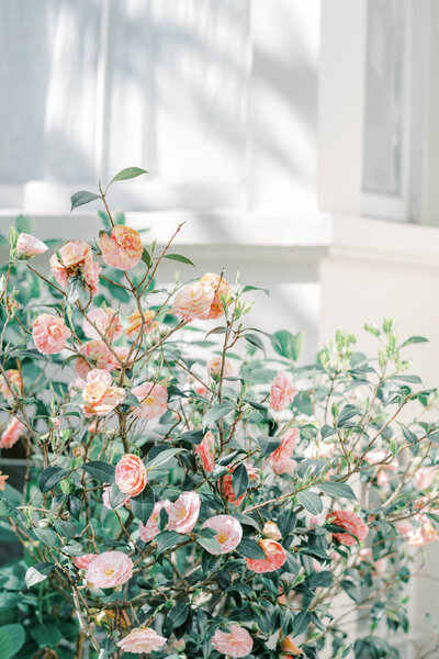 Notting_Hill_Engagement_London_MTA-5