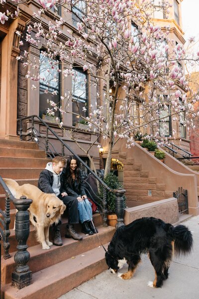 Intimate moment between couple on brownstone stoop as their golden retriever nuzzles close during spring engagement session in Brooklyn
