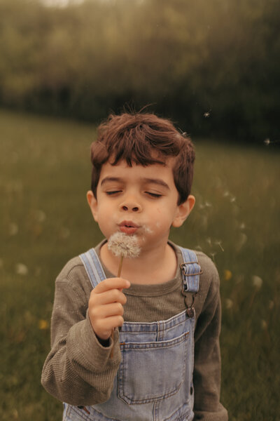 Child blowing a dandelion in Appleton wi