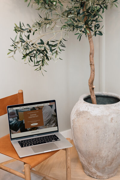 Maven Dentistry website design Albuquerque Saltd Studio