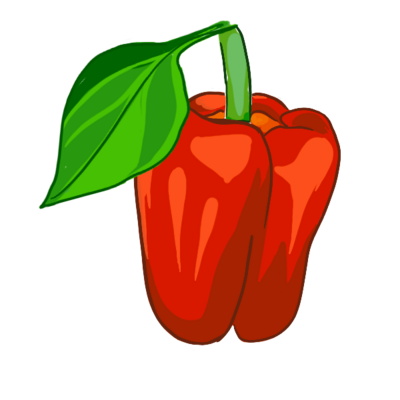Red pepper illustration