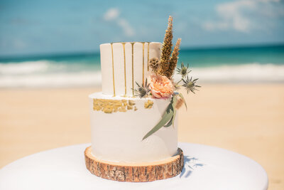 WeddingInspiration_FreeSpirit_Reception_Cake