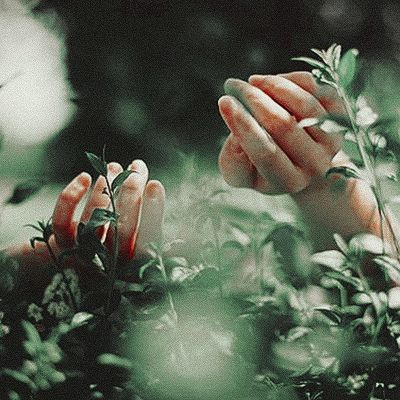 caresse-feuilles-mains