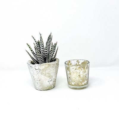 decor- candles mecury