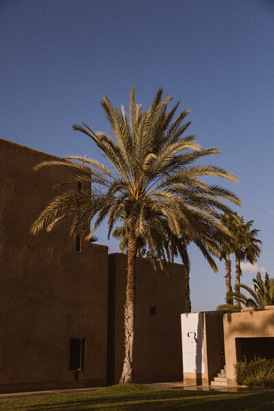 Pool day-Photography-290