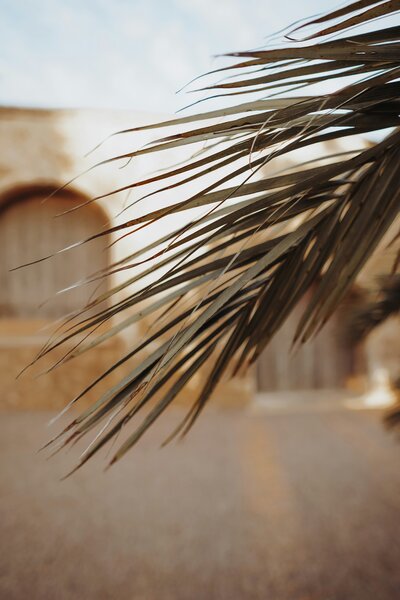 jasmin-ne-ym47_1O9JWk-unsplash
