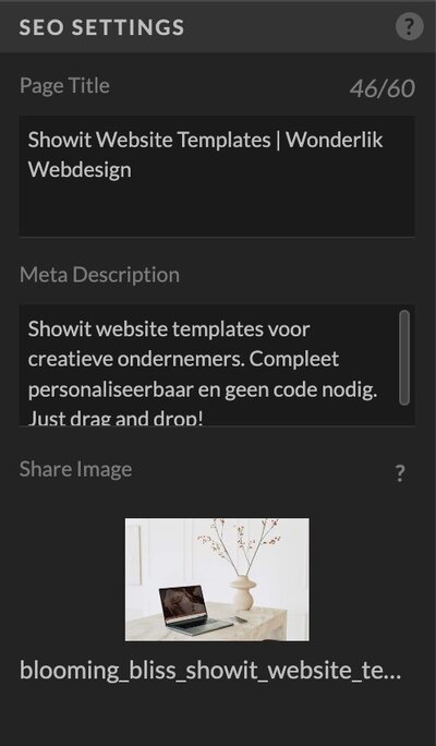 Ingebouwde Showit SEO tool voor paginatitels en meta descriptions