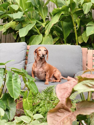 7638F7A4-E768-4A07-A994-84E6CCC9E1F2