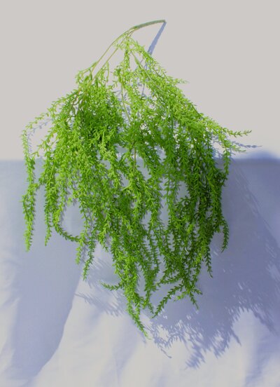 greenery yorkton sk wedding rentals