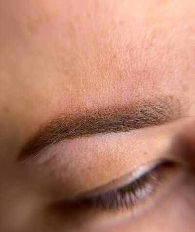 Best nano brows in Fort Frances - healed results